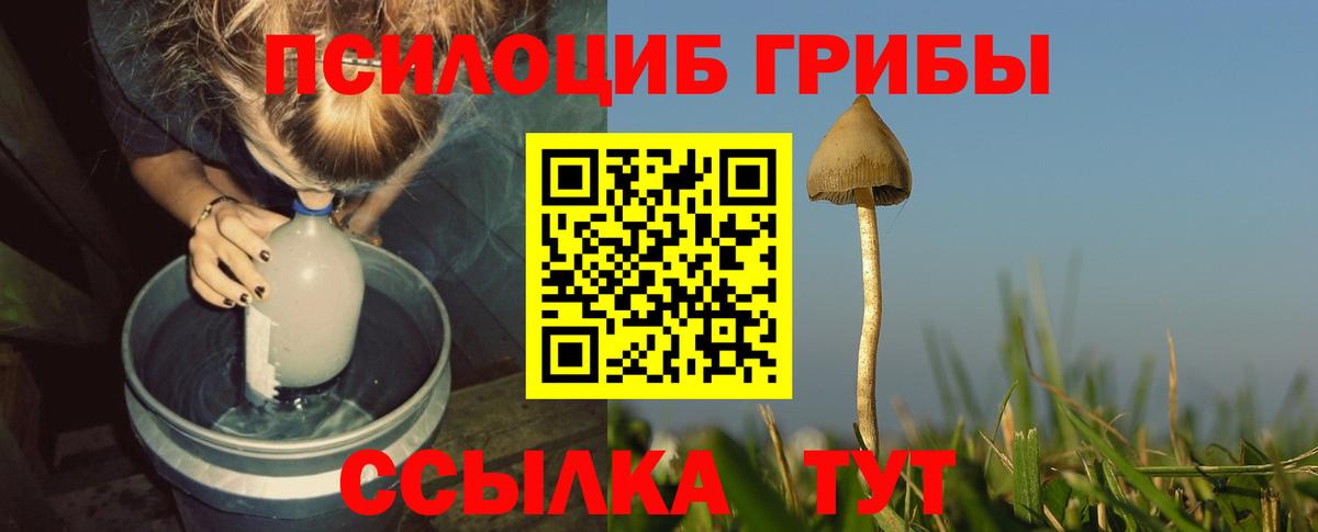 Галлюциногенные грибы ЛСД Заречный